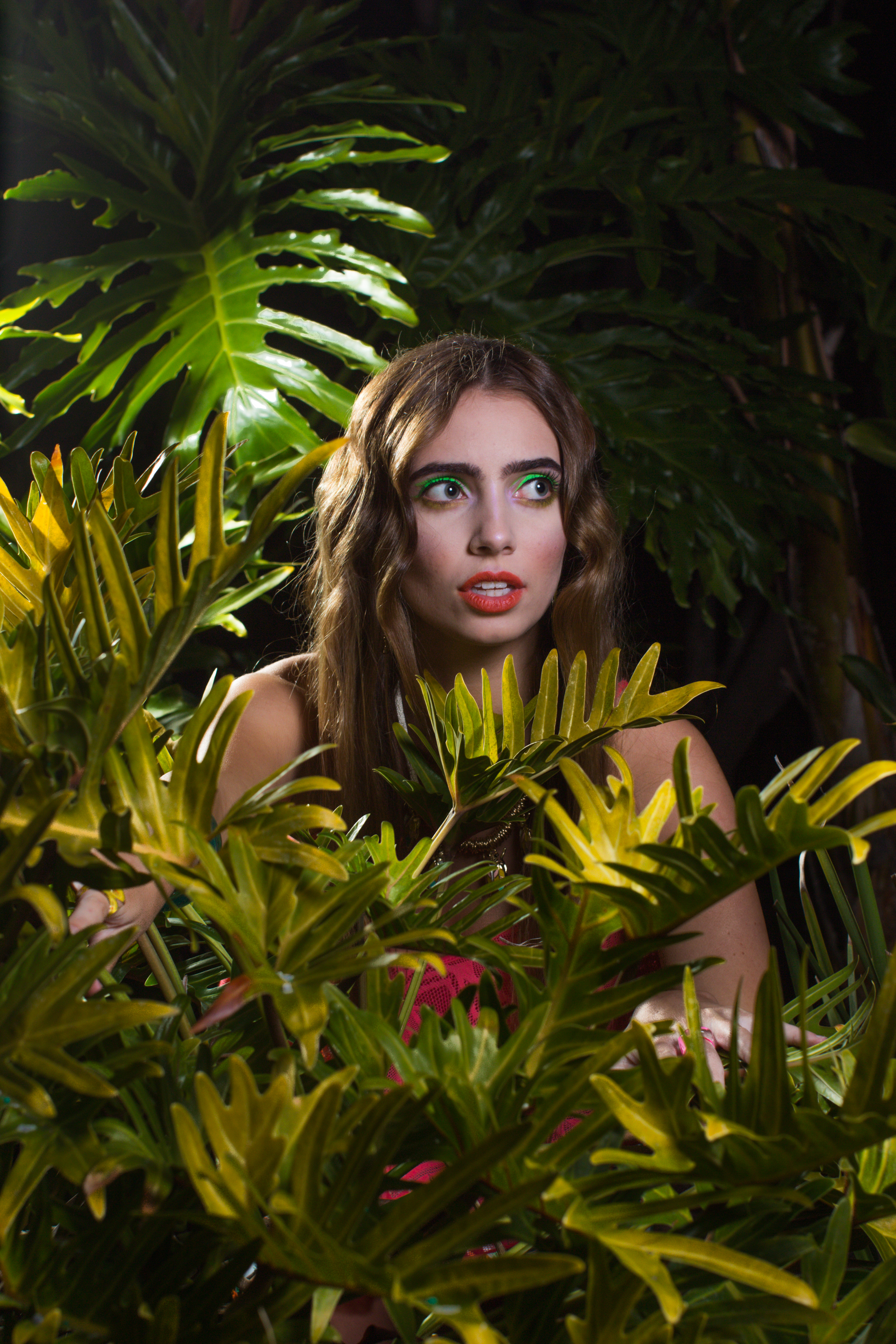 Taste of the Tropics: Editorial by Wendy Smith